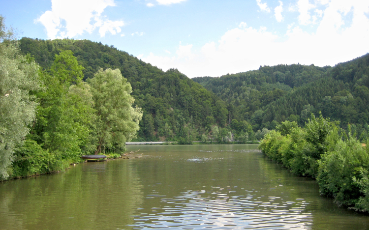 Esztergom árvízvédelmi fejlesztését támogatja az iparkamara 