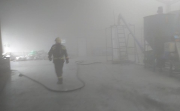 Tűz ütött ki egy annavölgyi gyárban - FOTÓK
