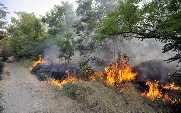 Bozóttűz Dorog és Kesztölc között – FOTÓK