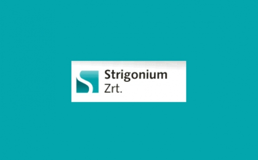 Strigonium Zrt -Vezérigazgatói beszámoló 2014. október 1. – 31.