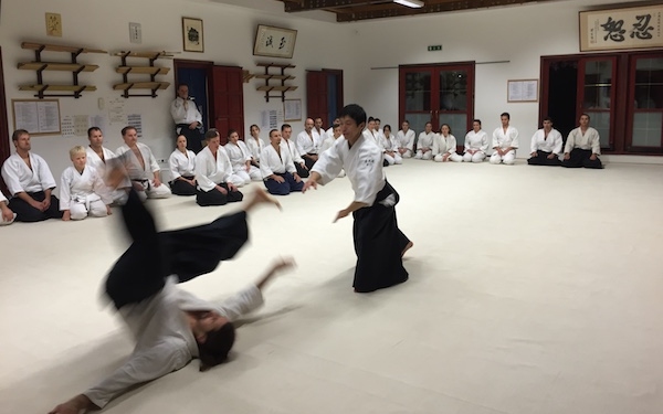 Különleges Nemzetközi Aikido Tábor japán mesterrel hamarosan Esztergomban