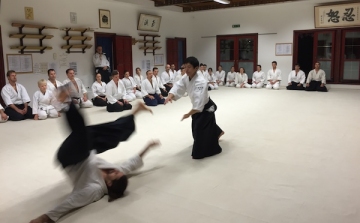 Különleges Nemzetközi Aikido Tábor japán mesterrel hamarosan Esztergomban