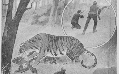 Amikor vérengző tigrisek tartották rettegésben Esztergom vármegyét – Egy tigrisvadászat históriája!