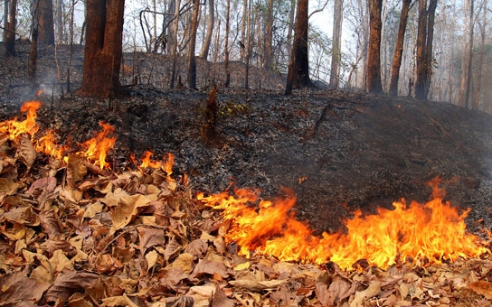 Szabadtéri tüzek: országos ellenőrzést indított a katasztrófavédelem