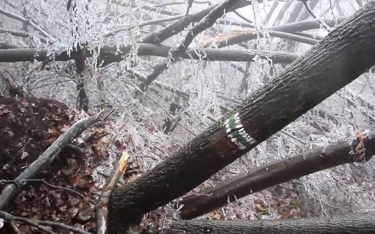 Elképesztő videó az ónos eső utáni Pilisről