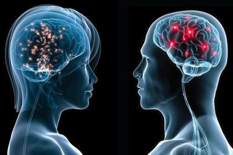 Magyar kutatók térképezték fel az agyi kapcsolatok egyénenkénti változékonyságát