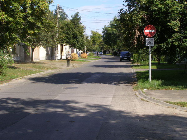 Autóentes nap Esztergom