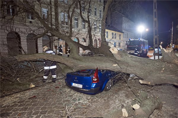 Tombolt a szél a térségben - FOTÓK