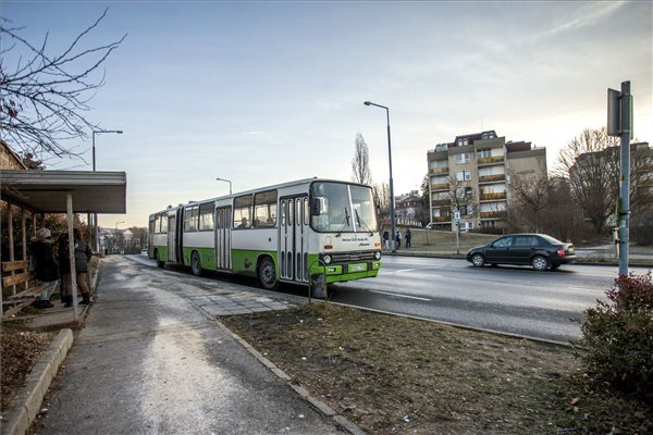 Esztergomi helyijáratos buszközlekedés