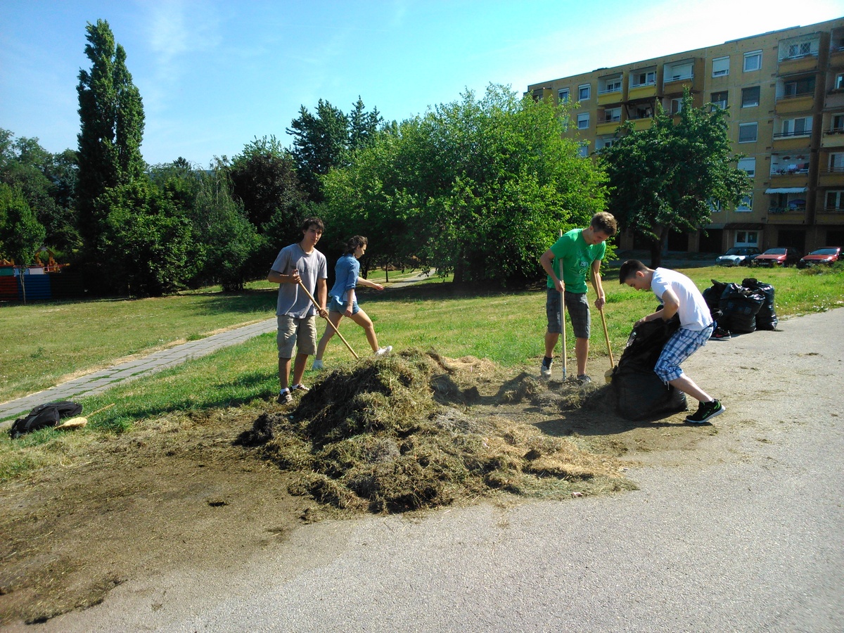 A Nagy Várostakarítók és dobósok akciója