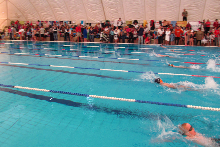 Négy arany, egy versenyző - Új-Hullámos úszósiker Németországban