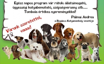 Állatok világnapja Esztergomban - programok és rajzverseny