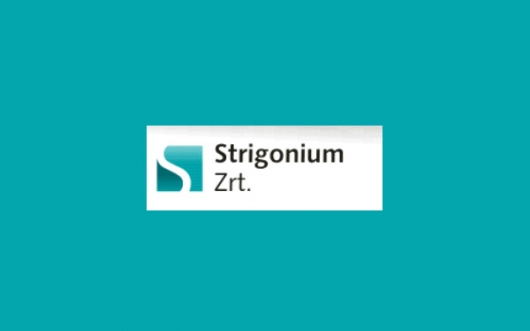 Strigonium Zrt -Vezérigazgatói beszámoló 2014. november 1. – 30.