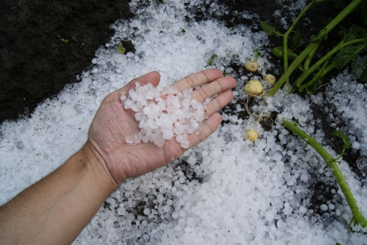 Korábban üzemelték be az országos jégkármérséklő-rendszert