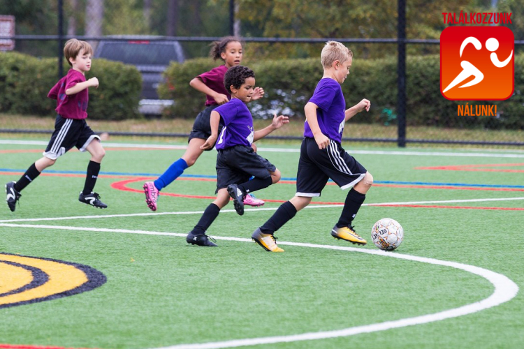 Újabb legendára emlékeznek a Dorogi FC-nél
