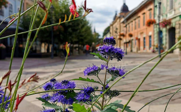 Tervekkel tele vág neki 2022-nek a Kivirágzó Esztergomért Alapítvány