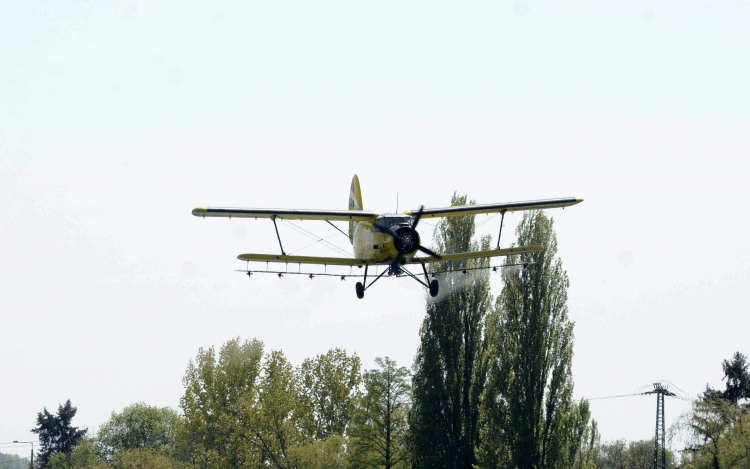 Kezdődik a szúnyogirtás a Balatonnál