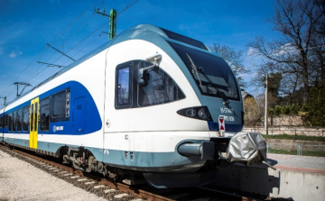 Kutya után fakidőlés okozott gondot az esztergomi vasútvonatlon