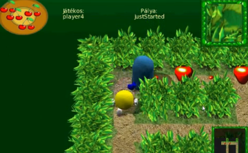 Gondolkodni tanít az új magyar logikai játék 