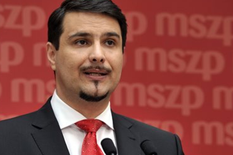 Mesterházy lemondása - Elemzők: saját támogatói is elpártolhattak