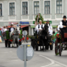 Borlovagok, szüreti felvonulás és fesztivál