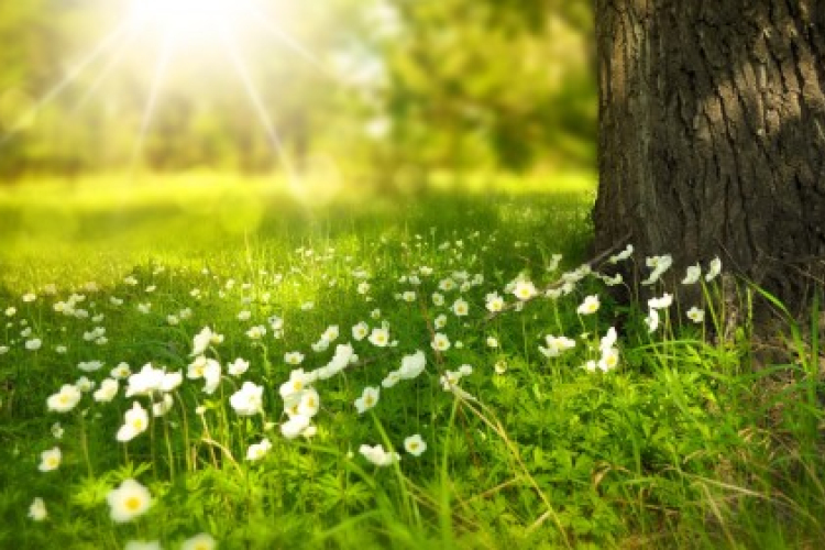 Hamisítatlan nyári hétfővel búcsúzik augusztus