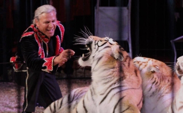Dágra vonulhatnak nyugdíjba a kiöregedett cirkuszi állatok