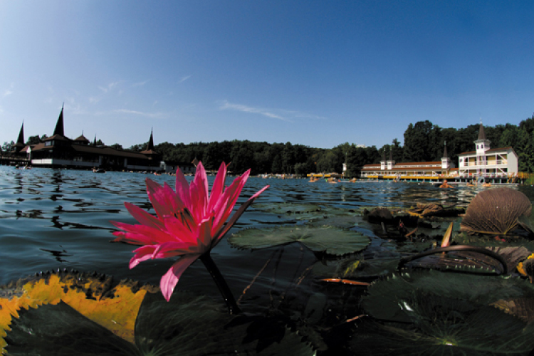 A minőségi gyógy szolgáltatásokat keresik a vendégek