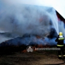 Így küzdöttek a tűzoltók a lángokkal Tokodaltárónál - FOTÓK