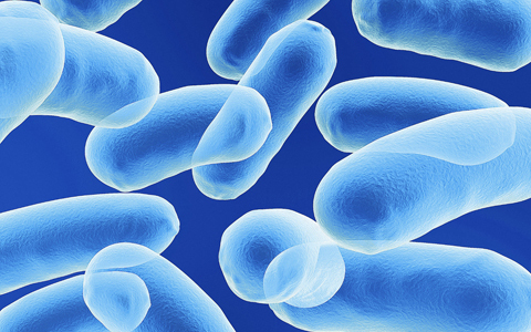 Halálos baktérium szabadult ki egy amerikai laboratóriumból