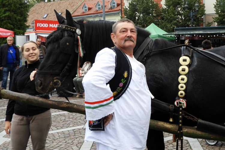 Borlovagok, szüreti felvonulás és fesztivál