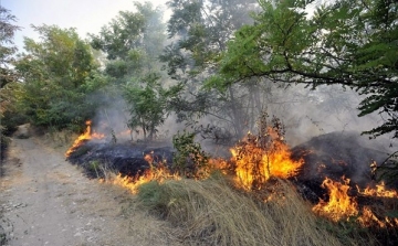 Egyre több a szabadtéri tűz Esztergom térségében is