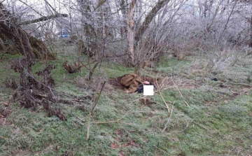 Nagy erőkkel keresték az átfagyott idős férfit