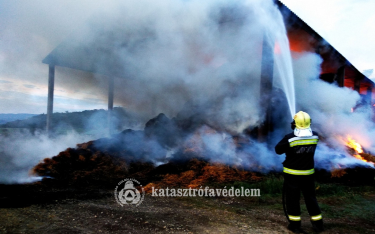 Így küzdöttek a tűzoltók a lángokkal Tokodaltárónál - FOTÓK