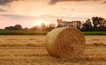 Agrárminisztérium: a magyar mezőgazdaságot modernizálni kell