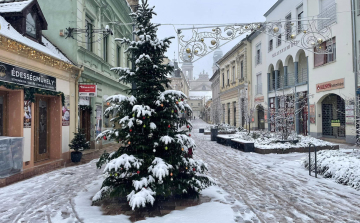 OMSZ: jelentős havazás a Dunántúlon és a Duna vonalában