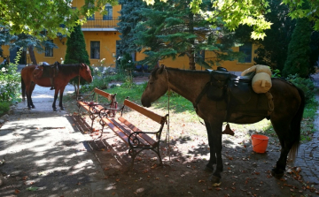 Lovasok a Bottyán palotában