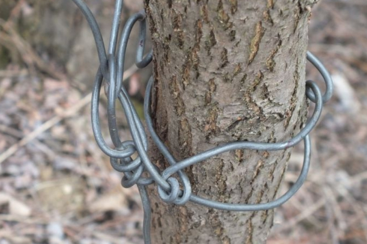 Hurokcsapdákkal vadásztak orvvadászok - elkapták őket a rendőrök