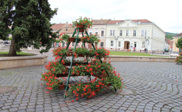 Virágba borult Esztergom