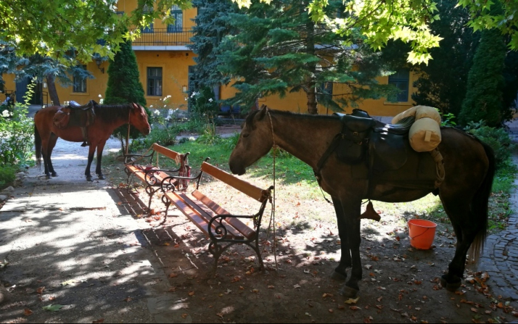 Lovasok a Bottyán palotában