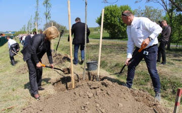 Rekordállítás faültetéssel Esztergomban