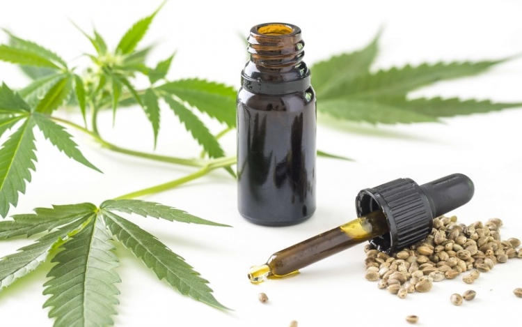 Kannabisz olaj: mire kell odafigyelni?