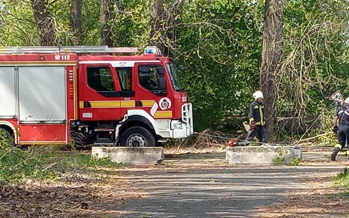Derékba törő fa szakított el egy villanyvezetéket