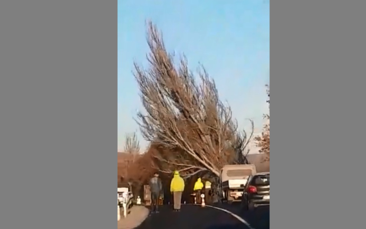 Fakivágás a 11-esen, jól ütemezett zenére – VIDEÓ