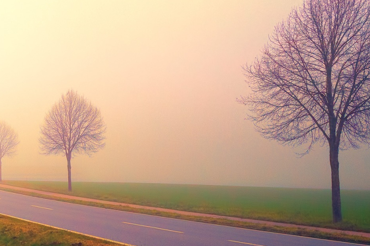 Visszatérnek a ködös reggelek a héten, de a köd napközben feloszlik