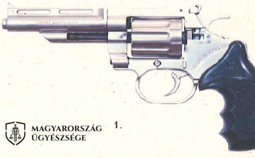 Pisztolyt találtak a többszörösen visszaeső bűnözőnél