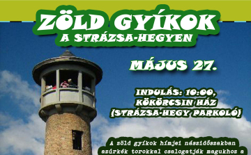 Zöld gyíkok nyomában a Strázsán