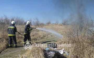 Újra szabadtéri tűzzel harcoltak az esztergomi tűzoltók - FOTÓK