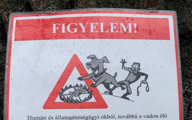 Ölőcsapdákra figyelmeztet a vadásztársaság - Újabb tájékoztatás!