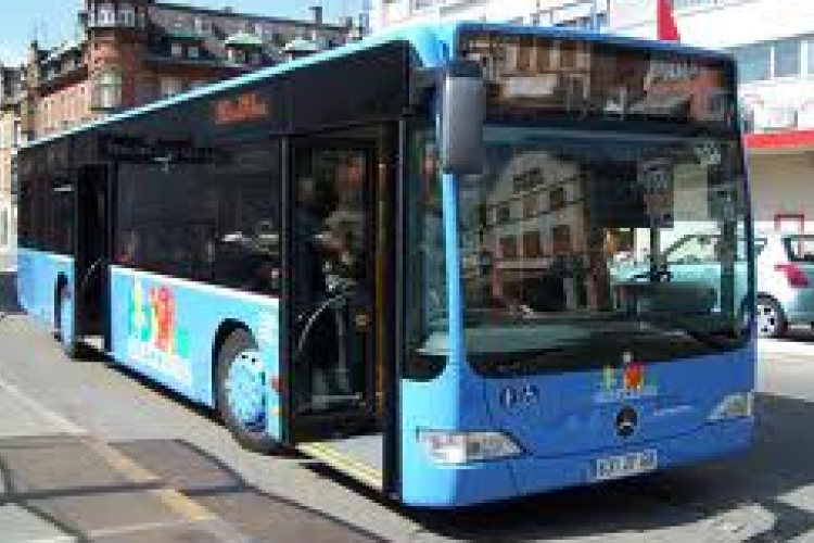 Tömegével jelentkeztek buszvezetőnek